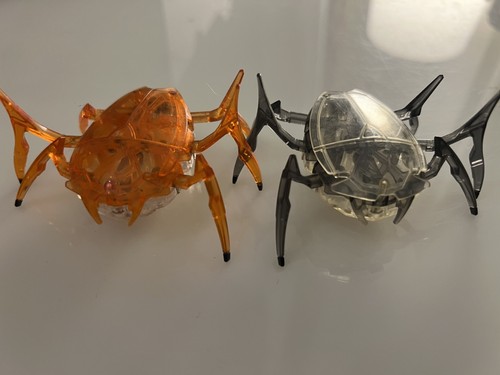 Two hexbug robotic scarab - two,