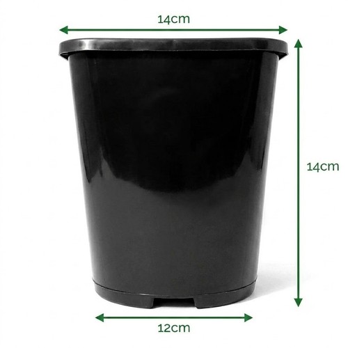 Black plastic plant pot - plant, |