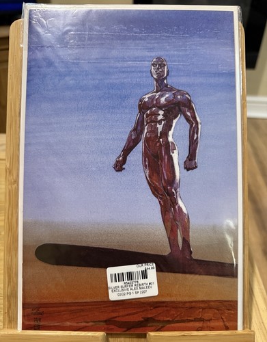 Silver surfer rebirth - surfer,