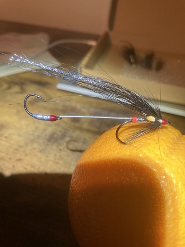 Fly fishing sea - fishing, sewin