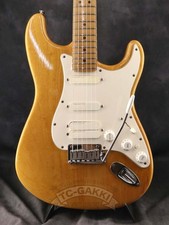 Fender American Standard Stratocaster Mod 1997 (no2501001)