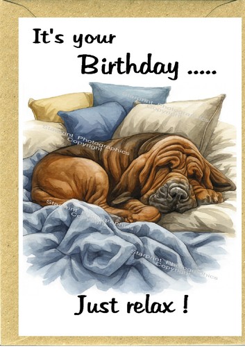 Bloodhound dog - bloodhound, 6")