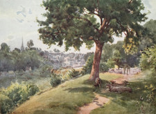 Tetbury in Gloucestershire - Antique Print 1927