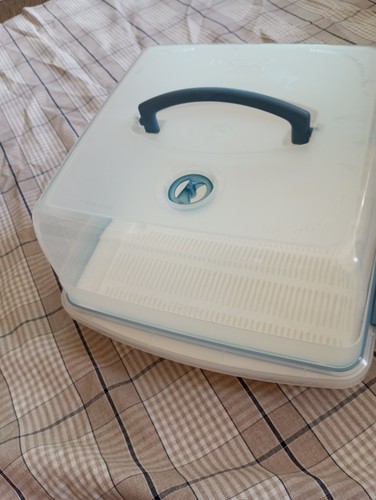 Cake carrier with handle - cake,