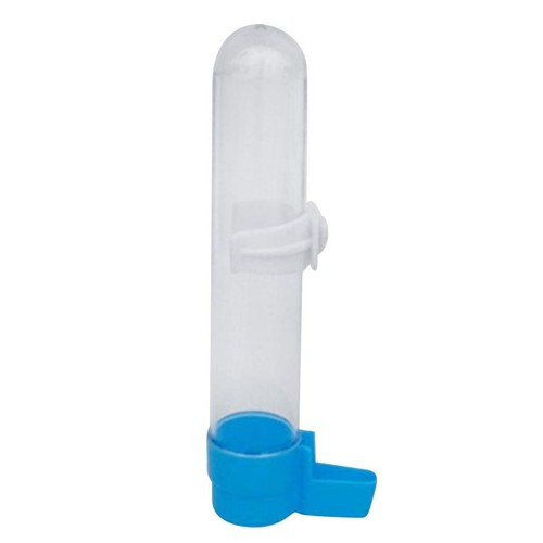 Bird water drinker with - water,