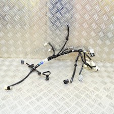 LEXUS NX AZ10 300h Rear