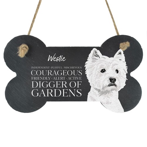 Westie characteristics dog - westie,