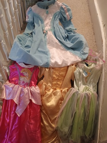 Disney princess dress shoe - disney,