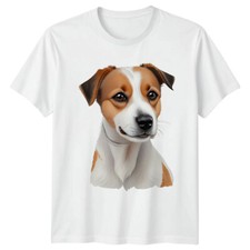 Jack Russell Terrier Dog