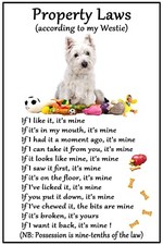 West Highland Terrier Dog Lovers Gift  Flexible Magnet Dog Property Laws