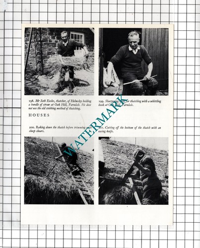 Seth eccles thatcher - mr,