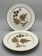 Vintage Denby Cotswold Side