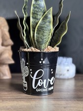 Metal Planter Plant Pot