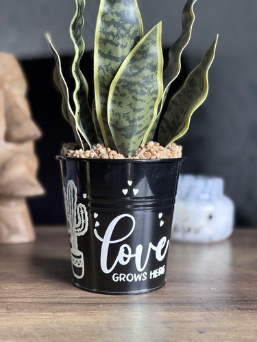Metal planter plant pot - planter,