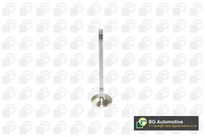 Suction intake valve V166200