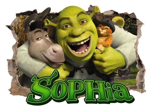 Personalised any name shrek - any,