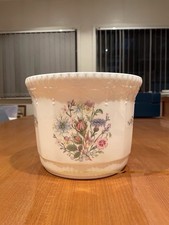 Amsley China Wild Tudor