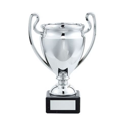 Silver trophy cup - trophy,