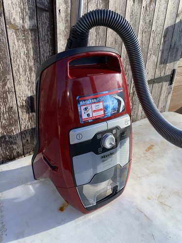 Miele blizzard cx1 cat - blizzard, dog