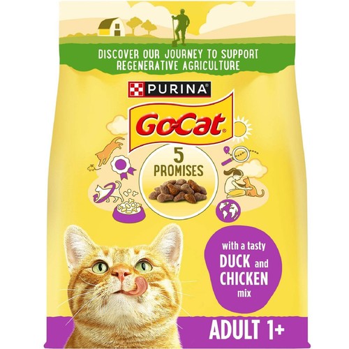 Cat adult chicken duck - adult, 1+