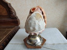 Antique Pink Conch Shell