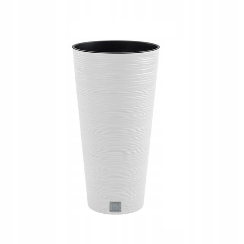 Tall round plant - tall, pot