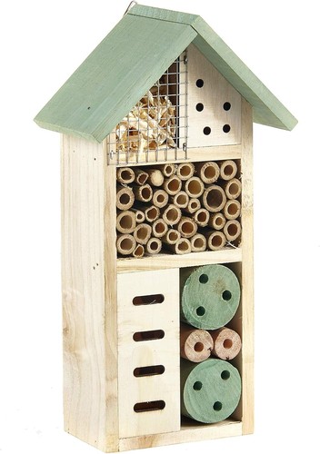 Pet ting wooden - pet, insect