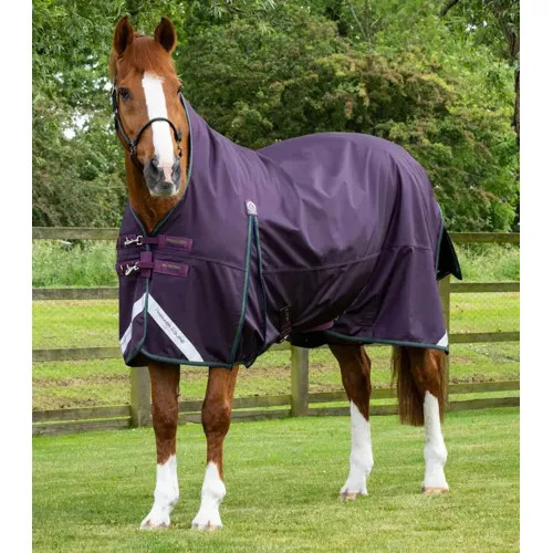 Premier equine buster hardy - equine,