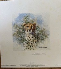 Cheetah - The Cameo Collection