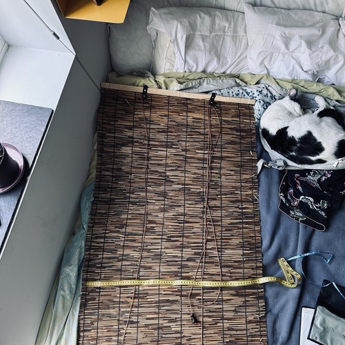 Bailr bamboo window - bailr, shades