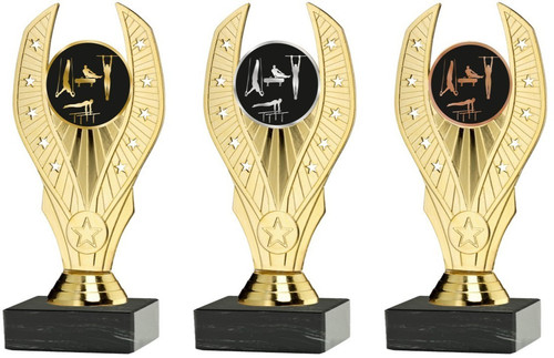 Male gymnastics gold - male,