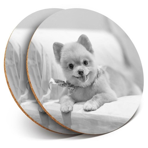 Coasters cute - 2, x