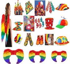 Adult Circus Clown Fancy Dress