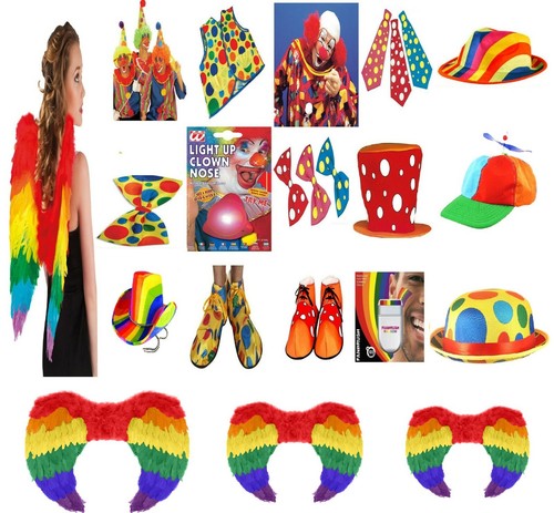 Adult circus clown fancy - circus, dress