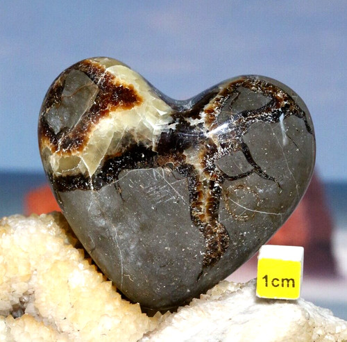 Septarian nodule heart large - nodule,