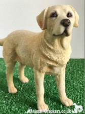 Standing Leonardo Golden