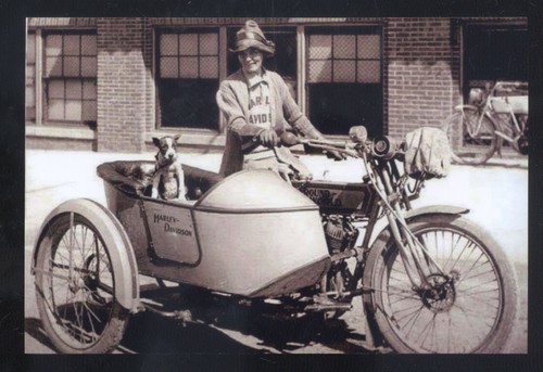 Real photo harley - photo,