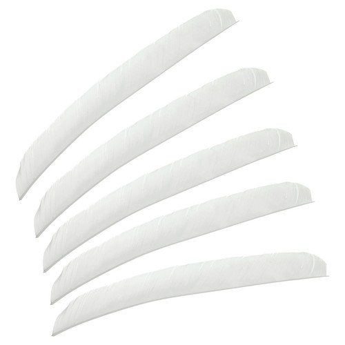 50pcs arrows vanes turkey - arrows,