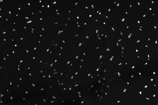 10 White Black Grey Sparkle & Marble Shower Wall Panels PVC Bathroom Cladding