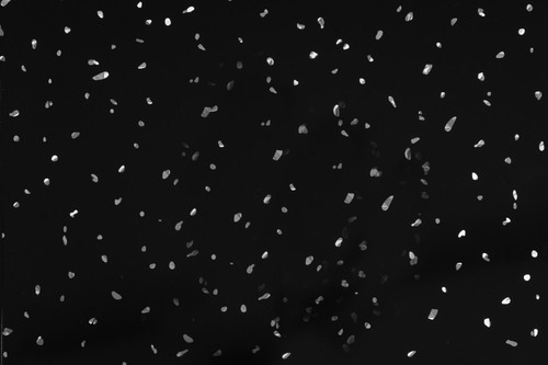 White black grey sparkle - black,