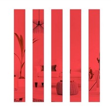20pcs strip mirror acrylic - strip,