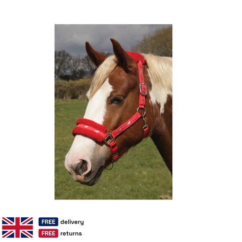 Equestrian cob headcollar red - cob,