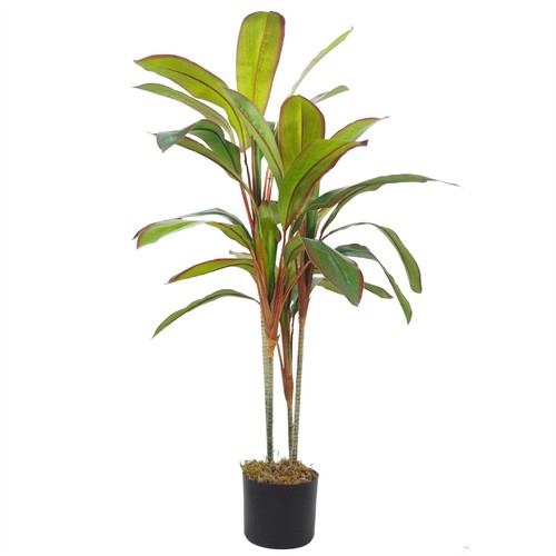 Artificial dracaena plant - artificial,
