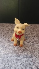 The Leonardo Collection - Pig