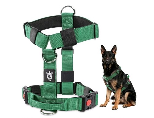 Heavy duty tactical dog - duty,