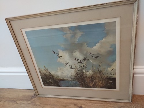 Vernon ward print - vernon,