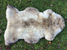 Nice New Real Rare Breed Sheepskin/Hide/Rug - Taxidermy A Grade Skin 100cm