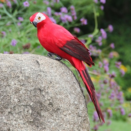 25cm red simulation - **25cm,