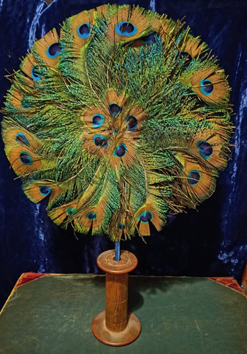 Vintage peacock feather - peacock, hand