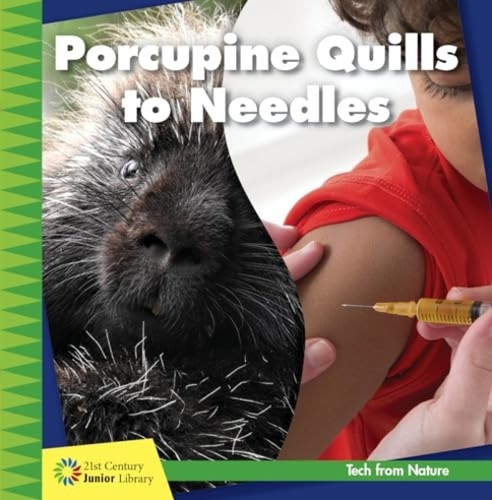 Porcupine quills needles - quills,